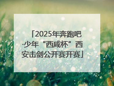 2025年奔跑吧·少年“西咸杯”西安击剑公开赛开赛