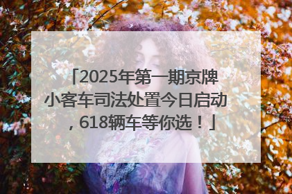 2025年第一期京牌小客车司法处置今日启动，618辆车等你选！
