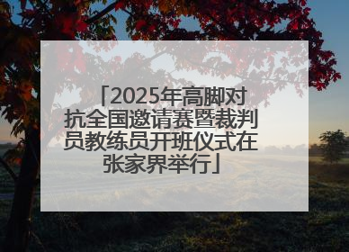 2025年高脚对抗全国邀请赛暨裁判员教练员开班仪式在张家界举行