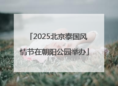 2025北京泰国风情节在朝阳公园举办