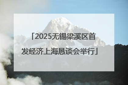 2025无锡梁溪区首发经济上海恳谈会举行
