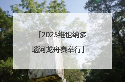 2025维也纳多瑙河龙舟赛举行