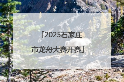 2025石家庄市龙舟大赛开赛