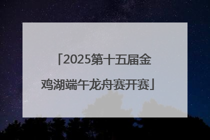2025第十五届金鸡湖端午龙舟赛开赛