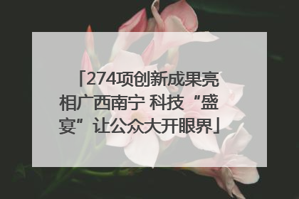 274项创新成果亮相广西南宁 科技“盛宴”让公众大开眼界