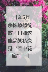 3.5万余株热烈绽放！日照这座高架桥变身“空中花廊”！