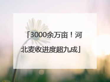 3000余万亩！河北麦收进度超九成