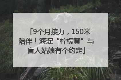 9个月接力，150米陪伴！海淀“柠檬黄”与盲人姑娘有个约定