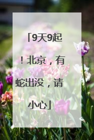 9天9起！北京，有蛇出没，请小心