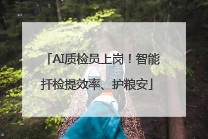 AI质检员上岗！智能扦检提效率、护粮安