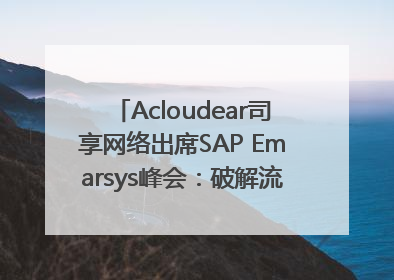 Acloudear司享网络出席SAP Emarsys峰会：破解流量困局，驱动精准增长