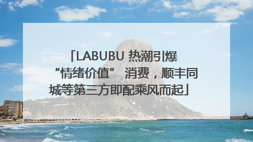 LABUBU 热潮引爆 “情绪价值” 消费，顺丰同城等第三方即配乘风而起
