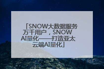 SNOW大数据服务万千用户，SNOW AI量化——打造亚太云端AI量化
